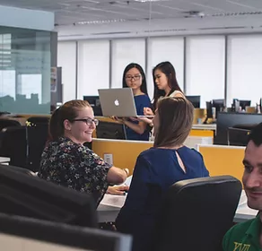 Descripción de la imagen